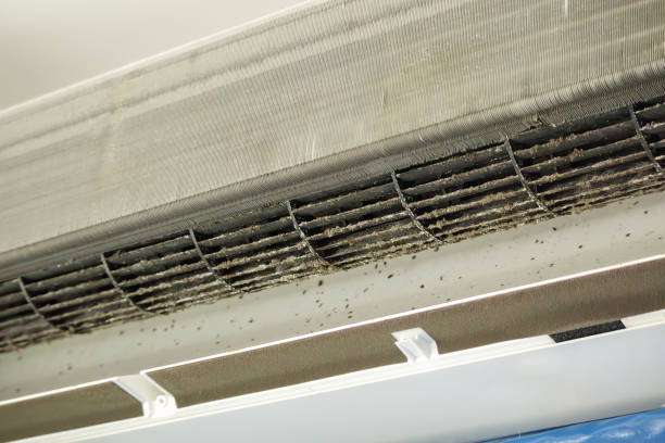 Air Duct Mold Removal in Randleman, NC